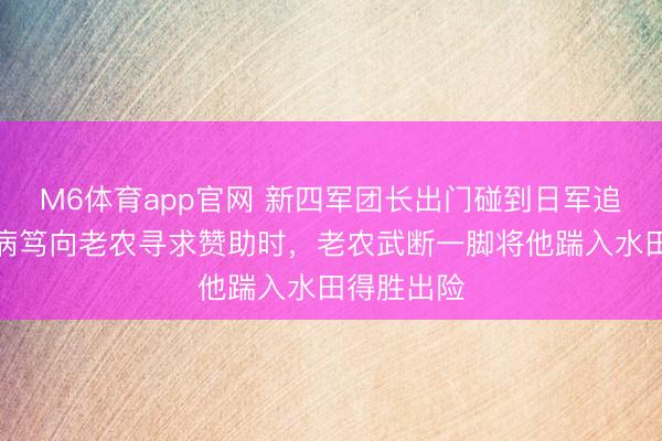 M6体育app官网 新四军团长出门碰到日军追击险境，病笃向老农寻求赞助时，老农武断一脚将他踹入水田得胜出险
