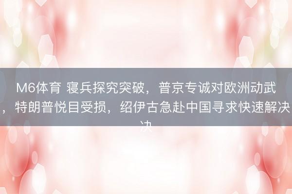 M6体育 寝兵探究突破，普京专诚对欧洲动武，特朗普悦目受损，绍伊古急赴中国寻求快速解决