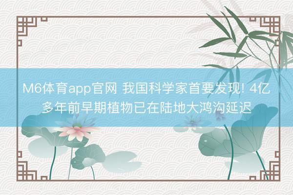 M6体育app官网 我国科学家首要发现! 4亿多年前早期植物已在陆地大鸿沟延迟